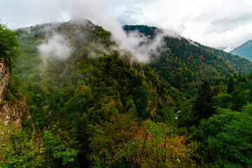 Foggy mountains in autumn. Aerial view of mountain slopes with yellow orange autumn trees in fog. Beautiful landscape with hills and misty forest.