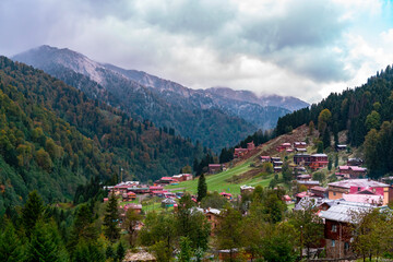 Fototapeta na wymiar Rize Ayder Plateau, nature view. Ayder Plateau is accompanied by the yellowing leaves of the trees in autumn. With its misty air covered with clouds and clean nature.
