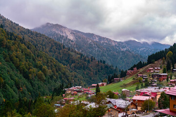 Fototapeta na wymiar Rize Ayder Plateau, nature view. Ayder Plateau is accompanied by the yellowing leaves of the trees in autumn. With its misty air covered with clouds and clean nature.