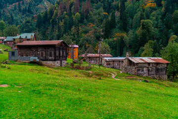 Fototapeta na wymiar A wooden plateau house integrated with the forest that turns yellow with the autumn season. Plateau houses are made of stone and wood. Old stone houses. Rize, Turkey.
