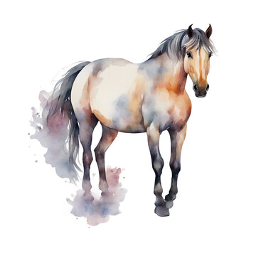 watercolour horse