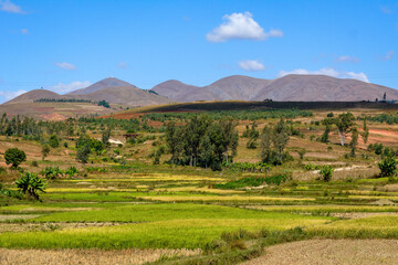 Paysage des Hautes-Terres de Madagascar