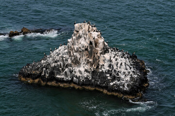 Ile de roches basaltiques