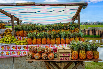 Ananas en vente à Tananarive, capitale de Madagascar