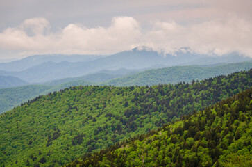 Fototapeta na wymiar An Overlook on a Moody Day at the Great Smoky Mountains National Park in North Carolina