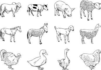 Vintage Farm Animal Illustration Set