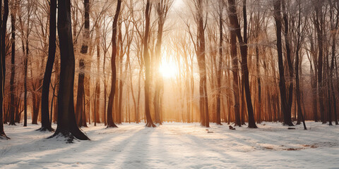 Anime cartoon style forest woodland background illustration trees graphic resource wide backdrop, generated ai