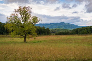 The Cades Cove in the Great Smoky Mountains National Park