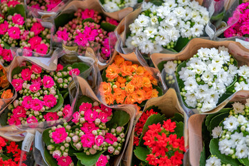 Fototapeta na wymiar bouquets of flowers in the store