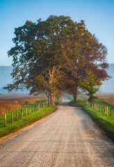 Naklejka premium The Great Smoky Mountains National Park