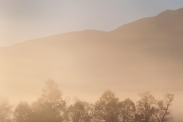 Obraz premium The Great Smoky Mountains National Park