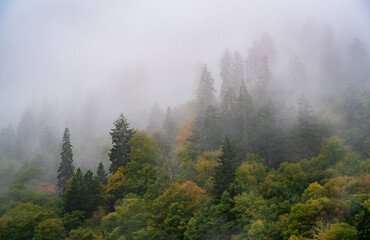 The Great Smoky Mountains National Park