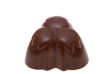 chocolate candies isolated