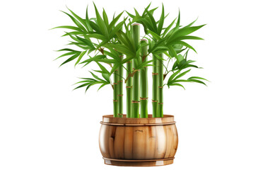 Eco Friendly Elegance Bamboo Pot on White or PNG Transparent Background.