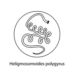 Parasites, worms, helminths in humans, cats, dogs. Hand drawing.