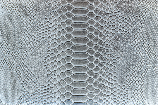 Beautiful dark gray python skin, reptile skin texture, snake skin close-up as a background.