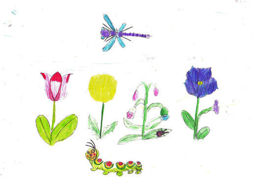 Children's drawing with pencils on white paper. Various meadow flowers, caterpillars and dragonfly. Spring-summer landscape.