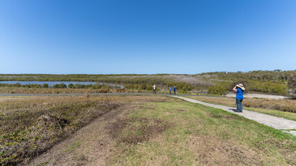 Bird Watchers in Wynnum Mangrove Boardwalk in Brisbane, Queensland
