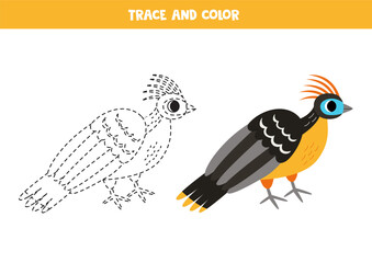 Trace and color cartoon hoatzin. Worksheet for children.