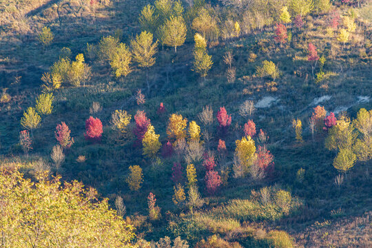 giallo rosso @ agriturismo tre querce - contrada fosse, penna san giovanni