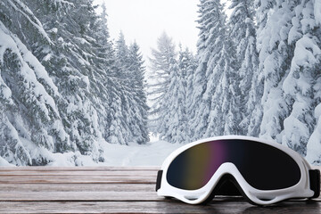 Snowboard goggles on the background of a winter forest
