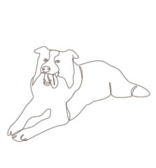 Line art of a happy Border Collie lays down with a smile and his tongue out.