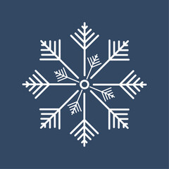 A Vector snowflake, white snow flakes on isolated background