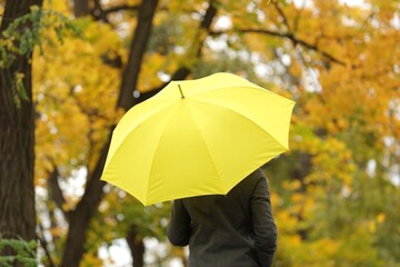 Woman with yellow umbrella in autumn park, back view