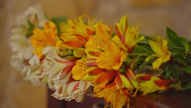 Pleasing pan shot of orange and white alstroemeria flowers (also known as Peruvian lily or lily of the Incas) Alstroemeriaceae