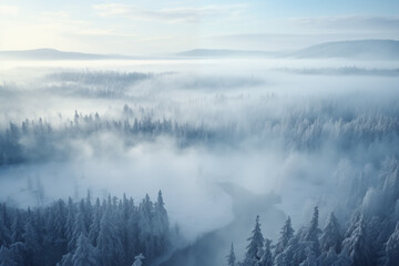 Fototapeta na wymiar frozen snowy forest landscape with frosty haze, aerial view