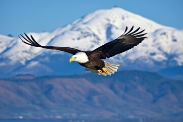 an eagle catching wind currents against a mountain backdrop