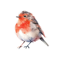 Watercolor bird bullfinch, cute winter red bird isolated - 682165659