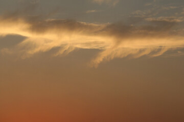 A sunset with a tree in the foreground and a skyline