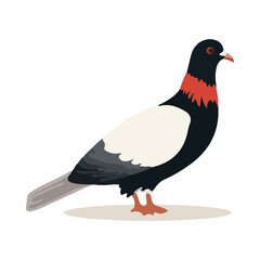 Cartoon pigeon isolated on white background. Cartoon style. Vector illustration.