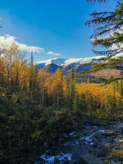 Autumn Arctic landscape in the Khibiny mountains. Kirovsk, Kola Peninsula, Polar Russia. Autumn colorful forest in the Arctic, Mountain hikes and adventures.