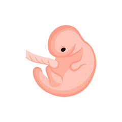 vector illustration. Flat icon pregnancy 7 week