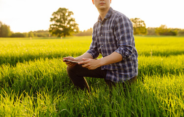 Young farmer with a modern tablet on a green wheat field. An experienced agronomist with a tablet checks the quality of green sprouts. Agriculture concept.