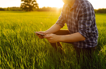 Young farmer with a modern tablet on a green wheat field. An experienced agronomist with a tablet...