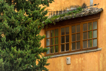 Fenêtre moussue à Fontaine-de-Vaucluse, Vaucluse, France