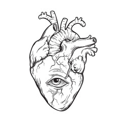 Anatomically correct human heart with eye hand drawn line art flash tattoo or print design vector illustration. - obrazy, fototapety, plakaty