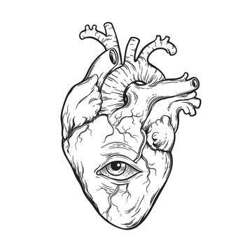 Anatomically correct human heart with eye hand drawn line art flash tattoo or print design vector illustration.
