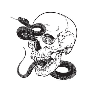 Human skull with poison snake isolated flash tattoo or print design hand drawn line art vector illustration