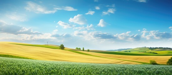 Fototapeta premium beautiful summer landscape, with a background of lush green nature and vibrant blue sky, the golden fields of a farm shimmer with the growth of wheat, symbolizing the flourishing agriculture and