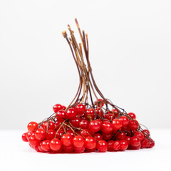 A bunch of ripe viburnum berries on a white background close-up