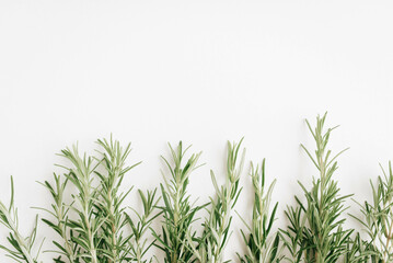 Sprigs of fresh rosemary on a white background.