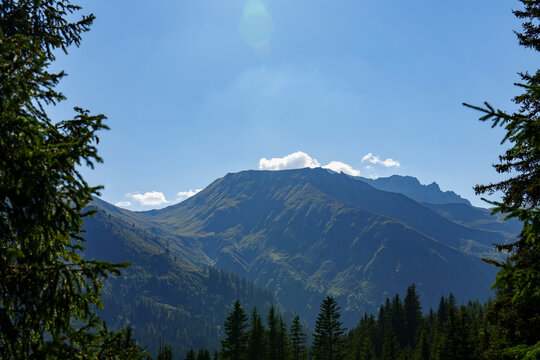 Ein weites Bergpanorama unter strahlend blauem Himmel, eingerahmt von dunklen Nadelb&auml;umen im Vordergrund, die den Blick auf die sanft abfallenden, gr&uuml;n bewachsenen H&auml;nge freigeben.