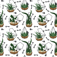 Set of beautiful indoor and outdoor terrariums with flowers, locks with keys on a white. Vector illustration of a glass florarium of various geometric shapes with succulents, cacti, aloe vera, stones