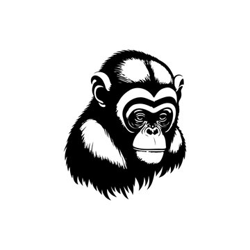 Monkey Icon hand draw black colour lunar animal logo symbol perfect.