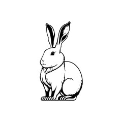 Fototapeta premium Rabbit Icon hand draw black colour lunar animal logo symbol perfect.
