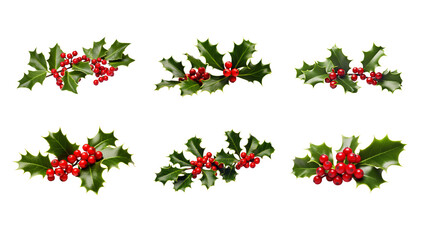 Collection of PNG. Christmas holly isolated on a transparent background.